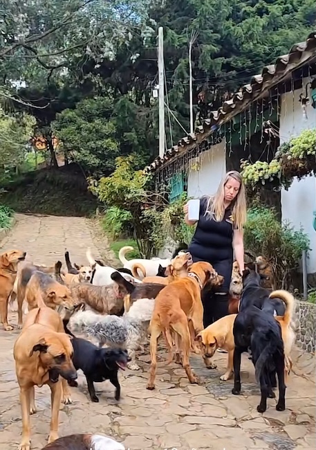 💔 Arrêtez-vous un instant… ce soir, 187 animaux innocents risquent de s’endormir le ventre vide faute de nourriture.
