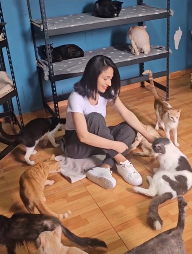 😭 AIDE URGENTE POUR MES 58 PETITS CHATS 😭